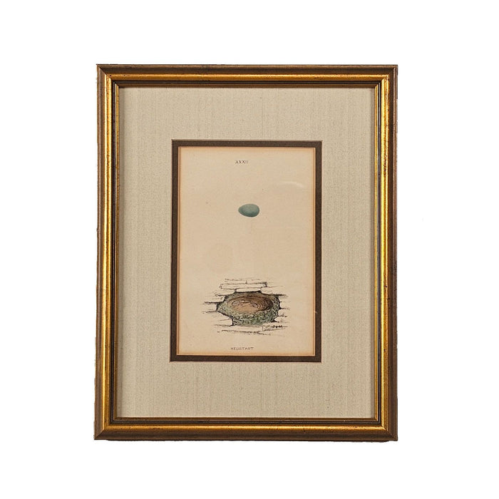 "Redstart" Nest/Egg Print, England circa 1880