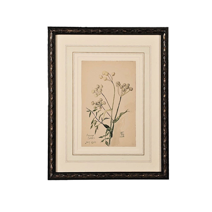 Watercolor Botanical, U.S.A., dated 1931