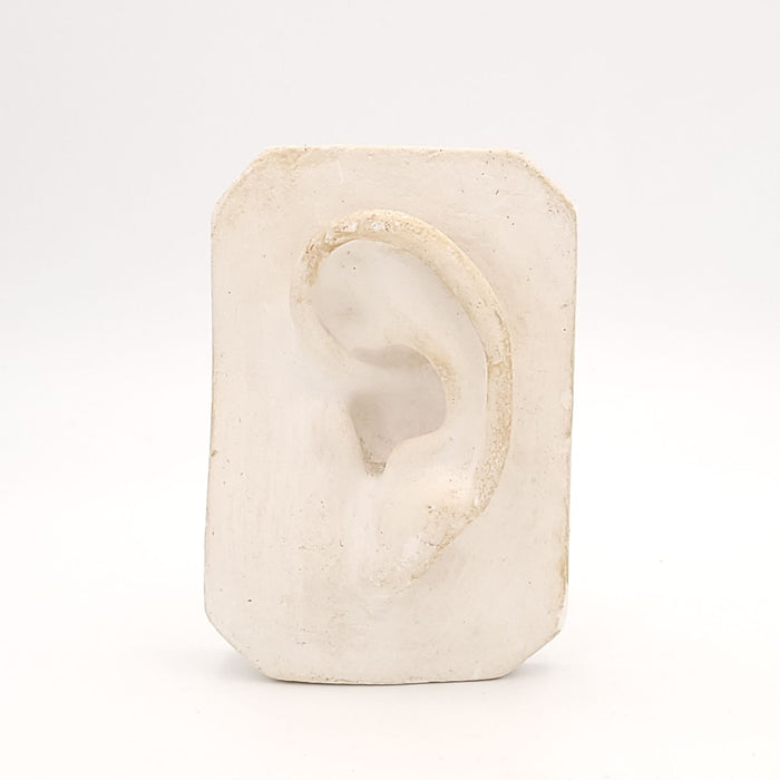 Artist's Plaster Model of an Ear, circa 1880